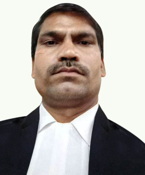 Advocate Anil Kumar Pandey  Lawyer